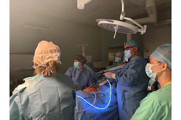 Relacja z pierwszego szkolenia Akademii Herniologicznej w Milickim Centrum Medycznym