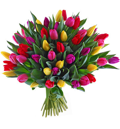 Dziś Międzynarodowy Dzień Pielęgniarki i Położnej!