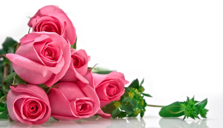 Dziś Międzynarodowy Dzień Pielęgniarki i Położnej!